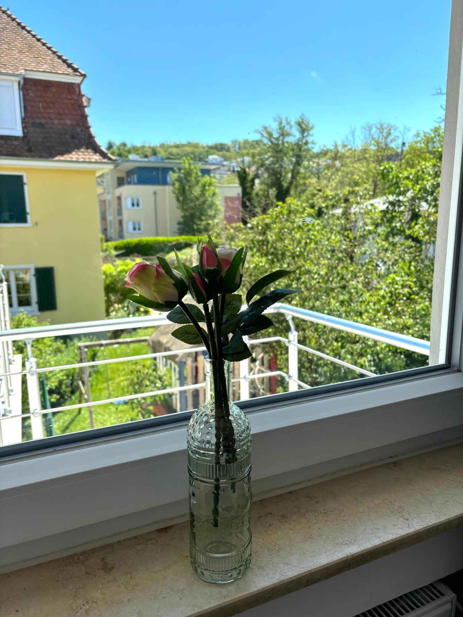 Gesamte Wohnung, Kueche, Parkplatz, Terrasse 巴特贝林根 外观 照片