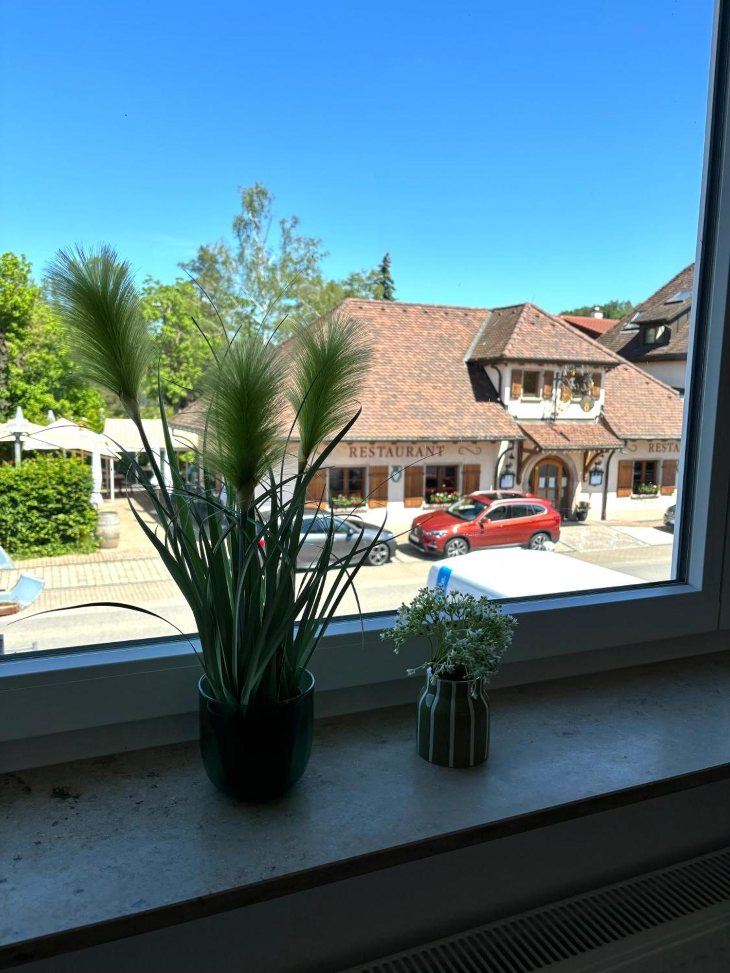 Gesamte Wohnung, Kueche, Parkplatz, Terrasse 巴特贝林根 外观 照片